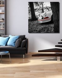Photos Tableaux Porsche 911
