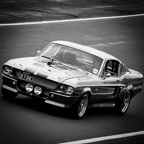 Photo Ford Shelby GT500