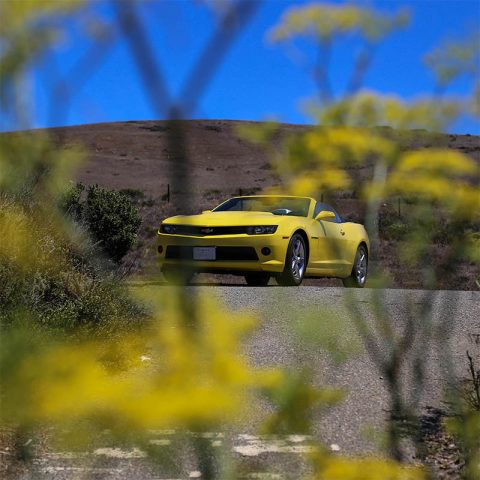 Tableau Toile Chevrolet Camaro