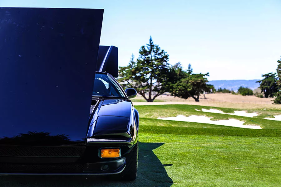 photo de tomaso pantera art tirage edition limitee