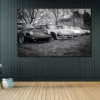Photographie Famille Porsche Photographie Famille Porsche