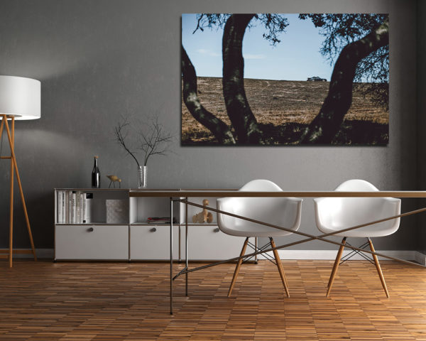 Photographies Porsche et Paysage