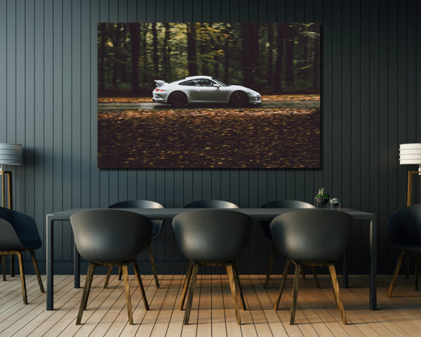 Tableau Photo Porsche 991 GT3