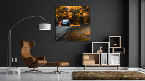 Photographie Porsche 911 Autumn Tones