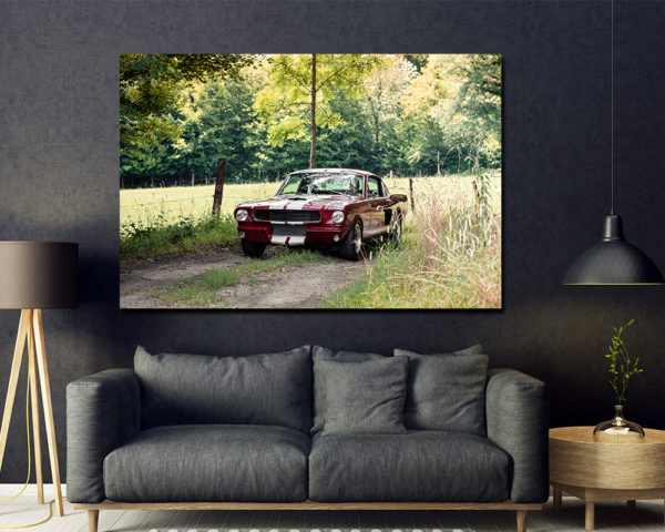 Photographies Shelby GT350