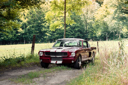 Photographie Shelby GT350