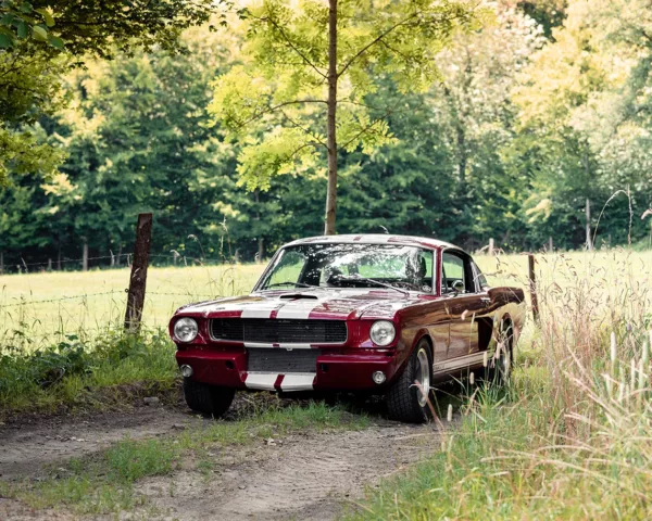 Photographie Shelby GT350 photographie Shelby GT350 tirage art automobile edition limitee