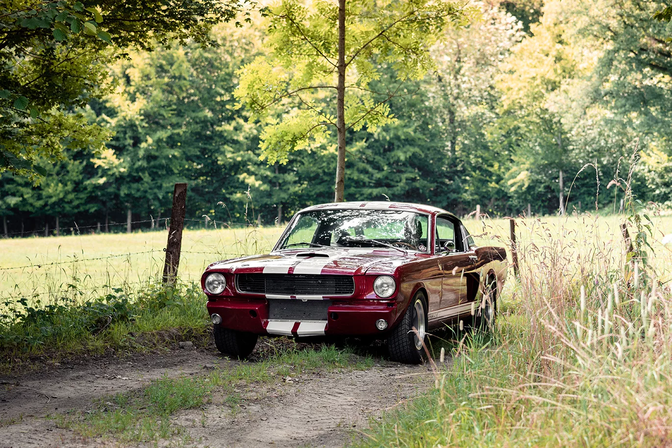 photographie Shelby GT350 tirage art automobile edition limitee