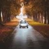 Hall of Porsche Light - small Photographie Porsche 911 lumiere automnale doree, tirage art edition limitee