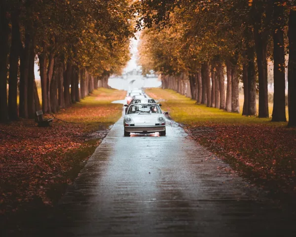 Hall of Porsche Light - small Photographie Porsche 911 lumiere automnale doree, tirage art edition limitee