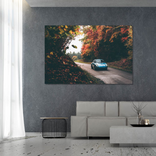 Photographies Porsche 911 Classic Automne