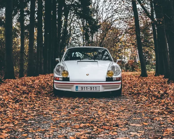 Photo Porsche 911 Carrera RS Photographie Porsche 911 Carrera RS feuillage automnal, tirage art edition limitee