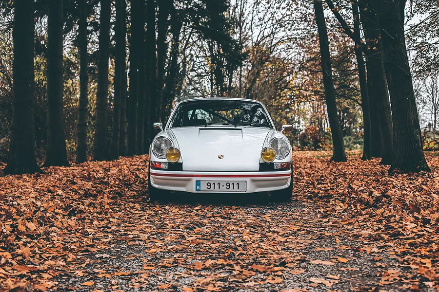 Photographie Porsche 911 Carrera RS feuillage automnal, tirage art edition limitee