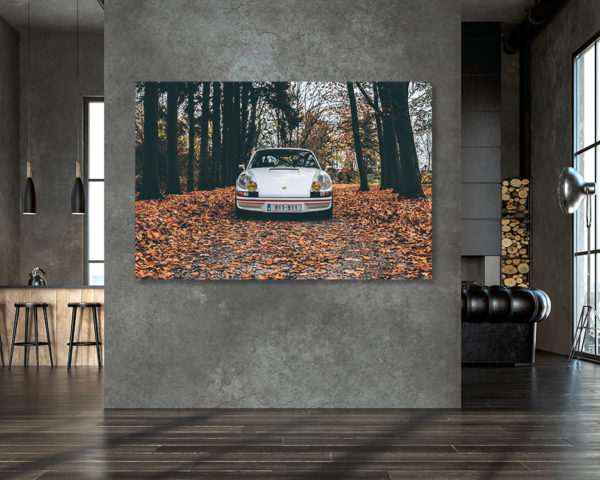 Photo Porsche 911 Carrera RS Automne – Image 2
