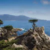 Photographie The Lone Cypress Pebble Beach Photographie artistique du Lone Cypress à Pebble Beach, cyprès solitaire perché sur une falaise surplombant l'océan Pacifique le long de la 17-Mile Drive en Californie