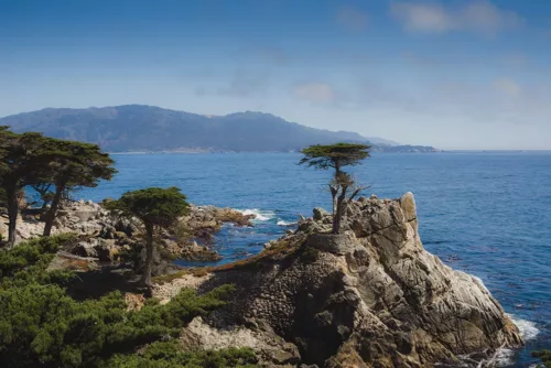 Photographie The Lone Cypress Pebble Beach Photographie artistique du Lone Cypress à Pebble Beach, cyprès solitaire perché sur une falaise surplombant l'océan Pacifique le long de la 17-Mile Drive en Californie
