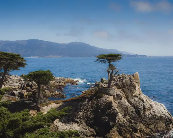 Photographie The Lone Cypress Pebble Beach Photographie artistique du Lone Cypress à Pebble Beach, cyprès solitaire perché sur une falaise surplombant l'océan Pacifique le long de la 17-Mile Drive en Californie
