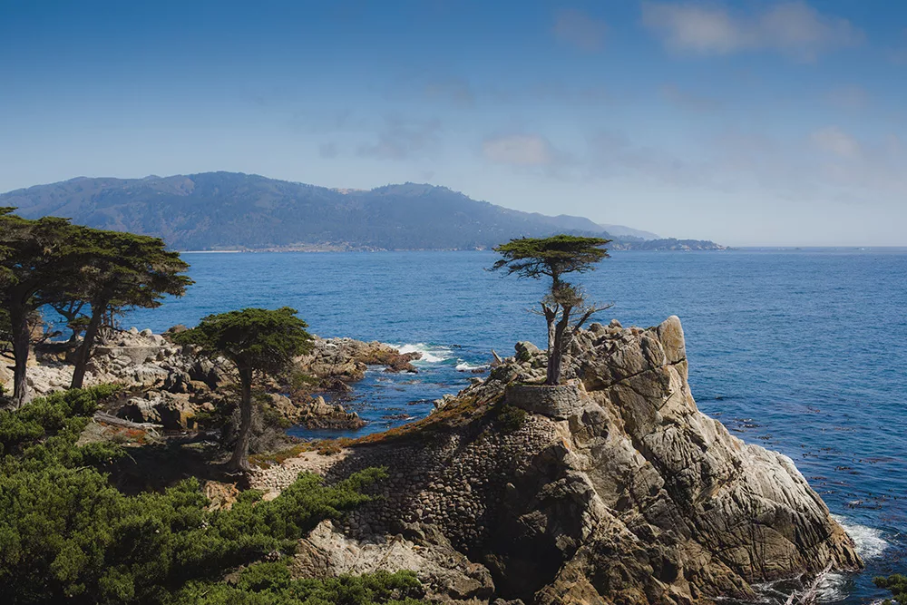 Photographie artistique du Lone Cypress à Pebble Beach, cyprès solitaire perché sur une falaise surplombant l'océan Pacifique le long de la 17-Mile Drive en Californie