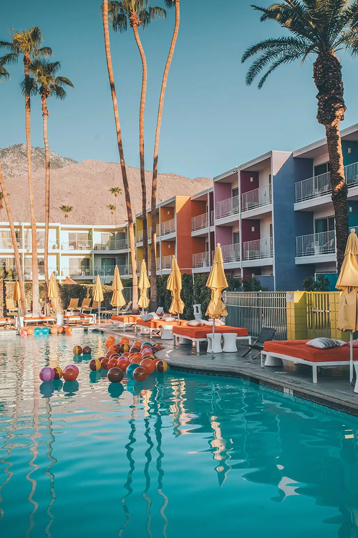 photographie Saguaro Palm Springs cactus tirage art edition limitee