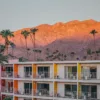 Photographie Coucher Soleil Palm Springs photographie coucher soleil Saguaro Palm Springs Californie tirage art edition limitee