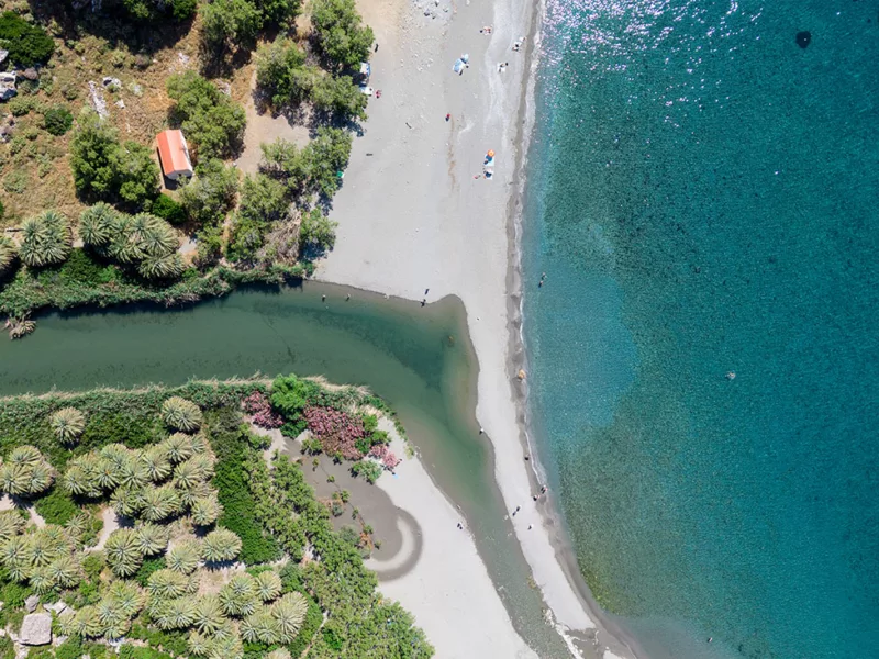 Photographie fine art Preveli Beach Crète palmeraie Phoenix theophrasti eaux turquoise gorge Kourtaliotiko édition limitée tableau paysage méditerranéen