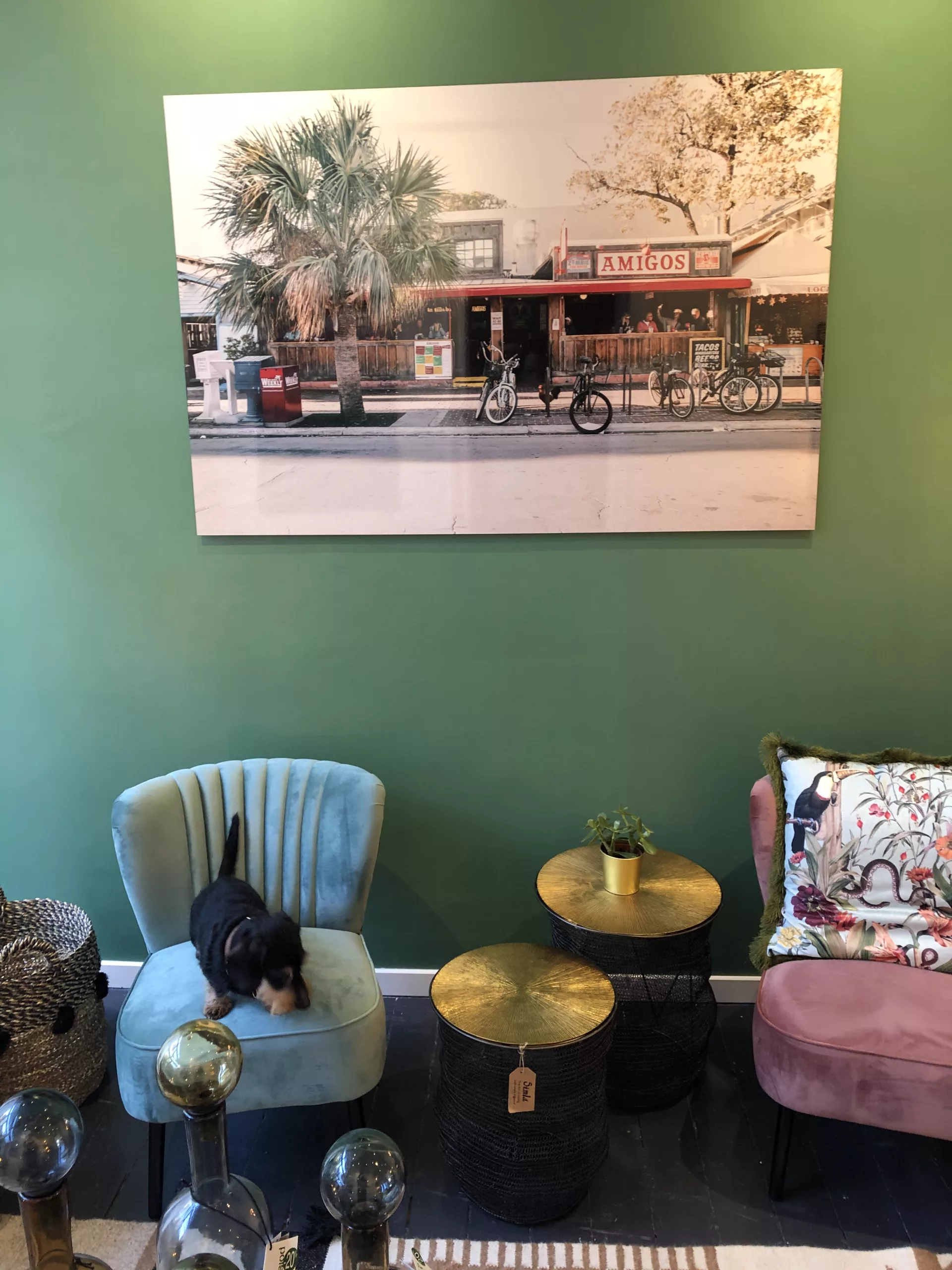 Vitrine de rue avec tirage photographique automobile en devanture — Cars and Roses