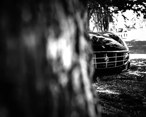 Photo Déco Ferrari California photo ferrari california art tirage edition limitee