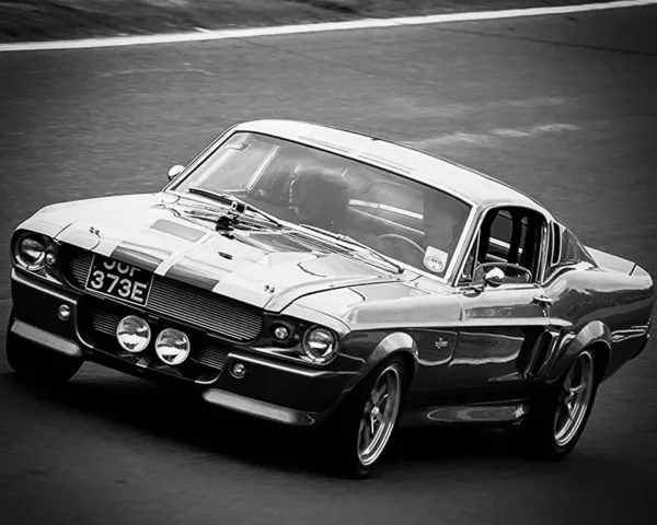 Photo Ford Shelby GT500 Photo Ford Shelby GT500