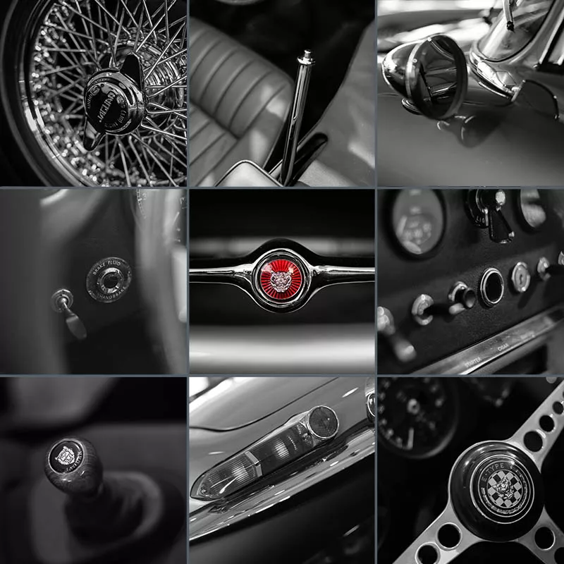 photo jaguar art tirage edition limitee