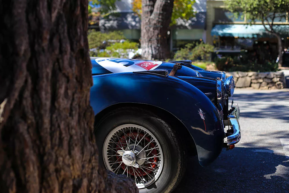 photo jaguar xk art tirage edition limitee