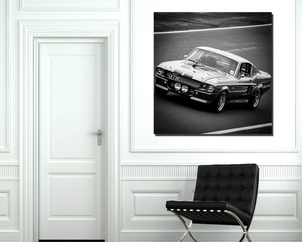 Photos Ford Shelby GT500