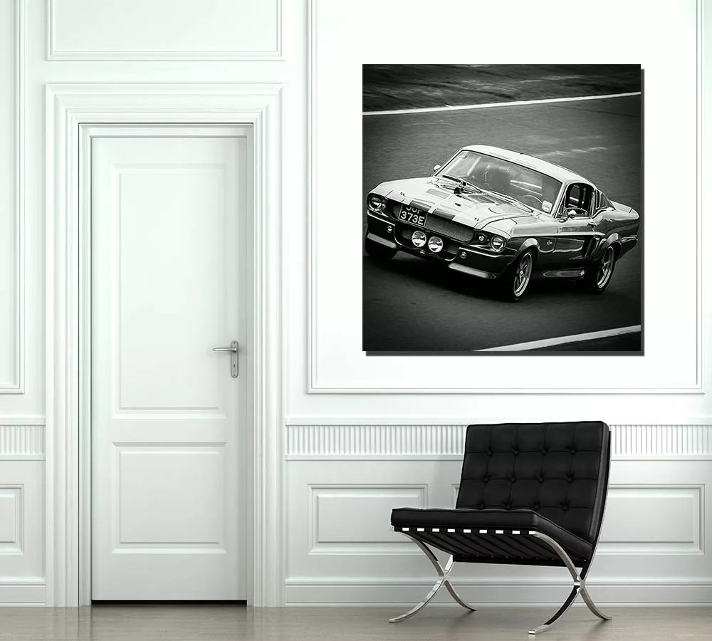 Photos Ford Shelby GT500