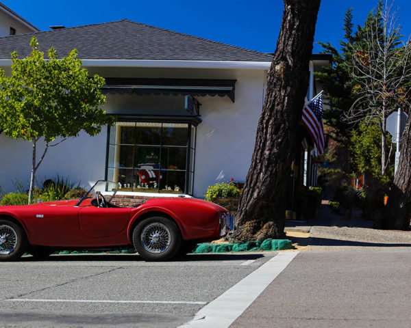 Tableau Photo Ford Shelby Cobra